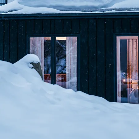 Walser Art Lejlighed Mittelberg